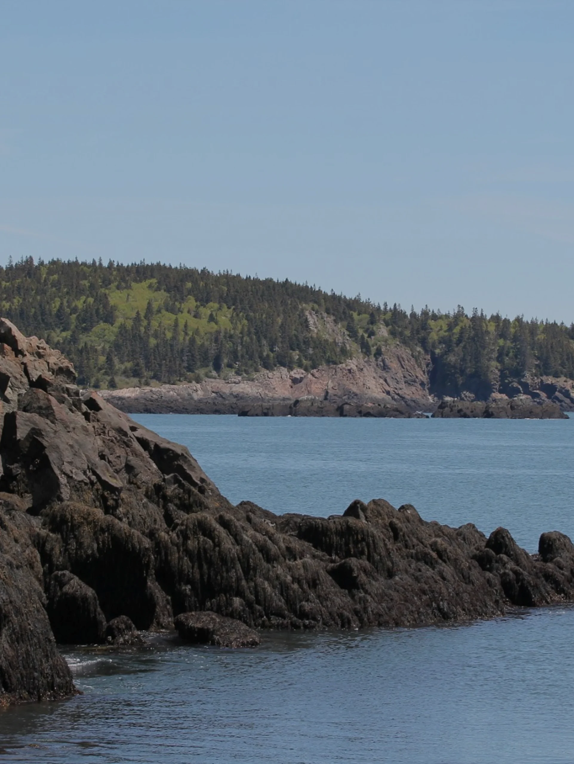 Aquaculture | Coastal Law